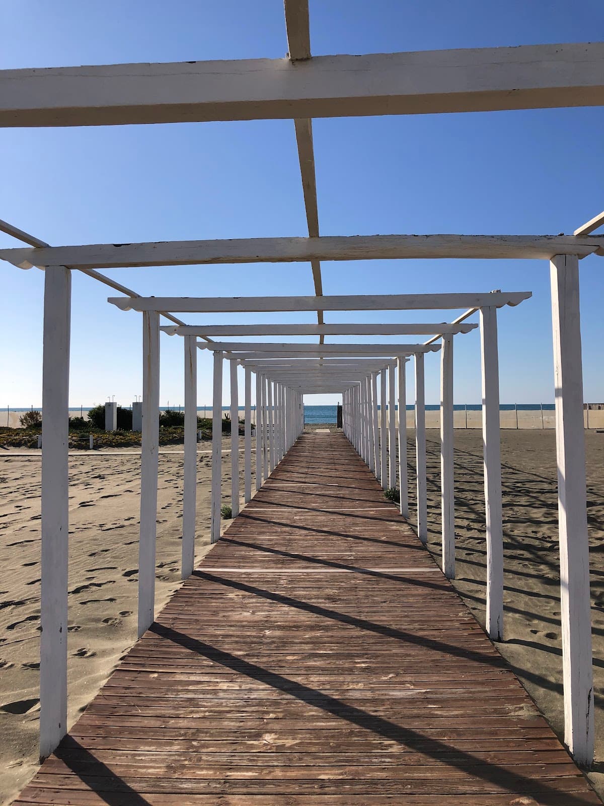 LEVANTE Fregene - Stabilimento e Ristorante photo
