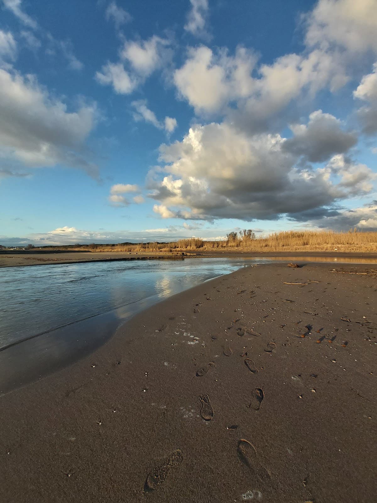 Spiaggia libera di Fregene photo