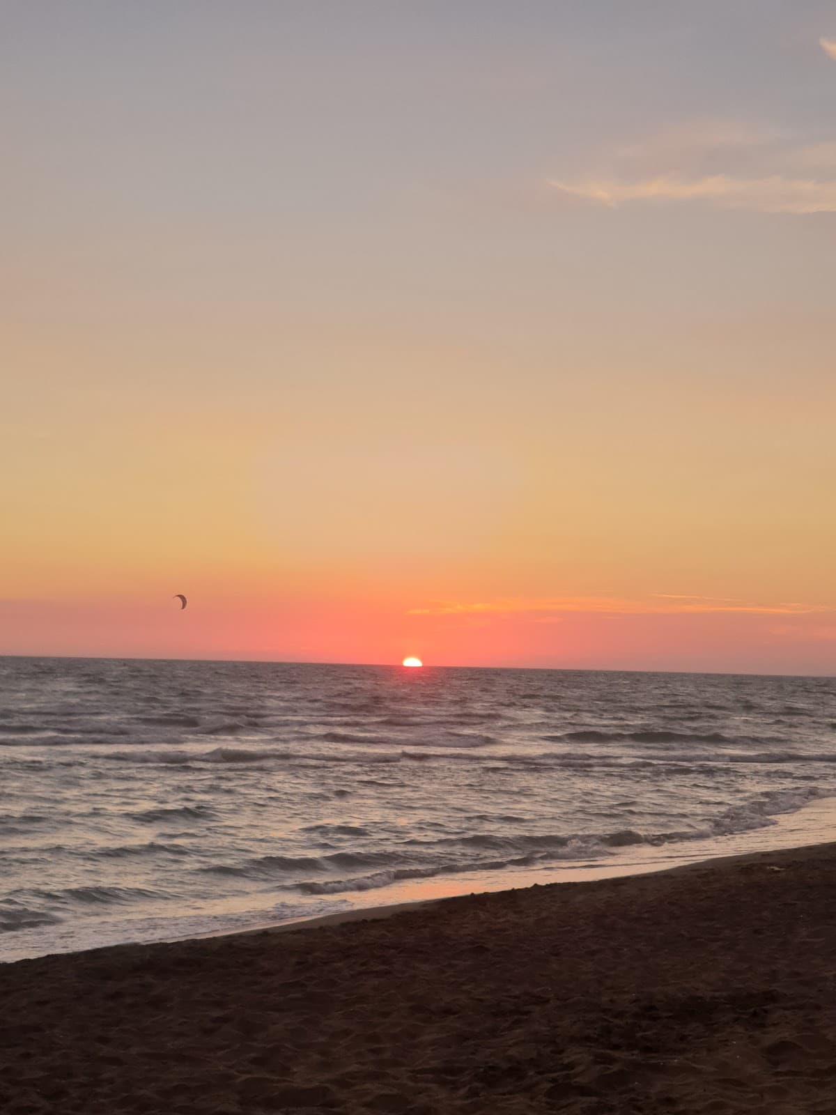 Spiaggia libera di Fregene photo
