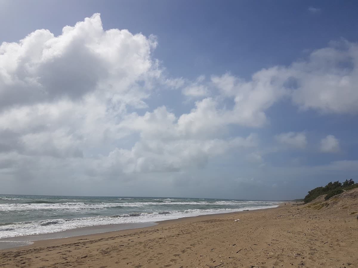 La Playa & La Spiaggia Dei Cani photo