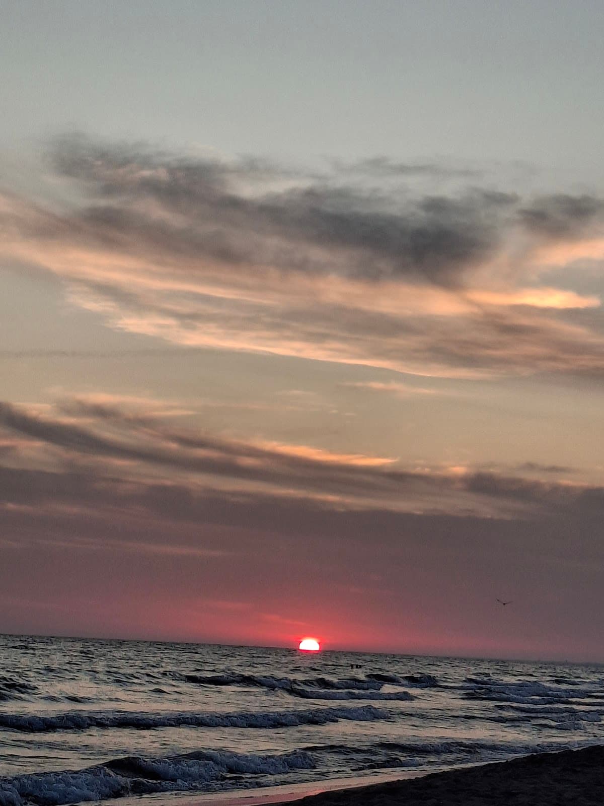 Playa del Mar photo