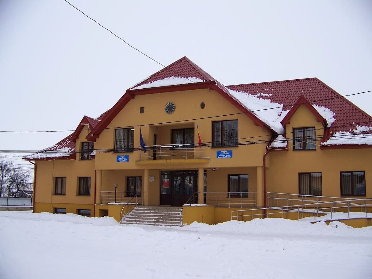 Primăria Baia photo