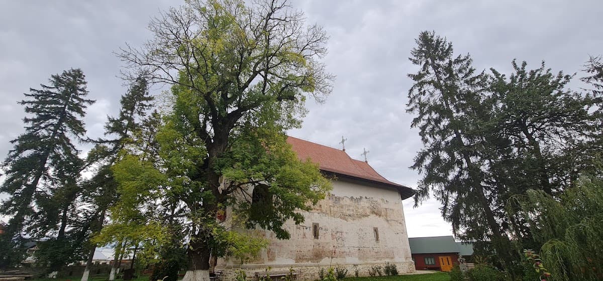 Primăria Baia photo