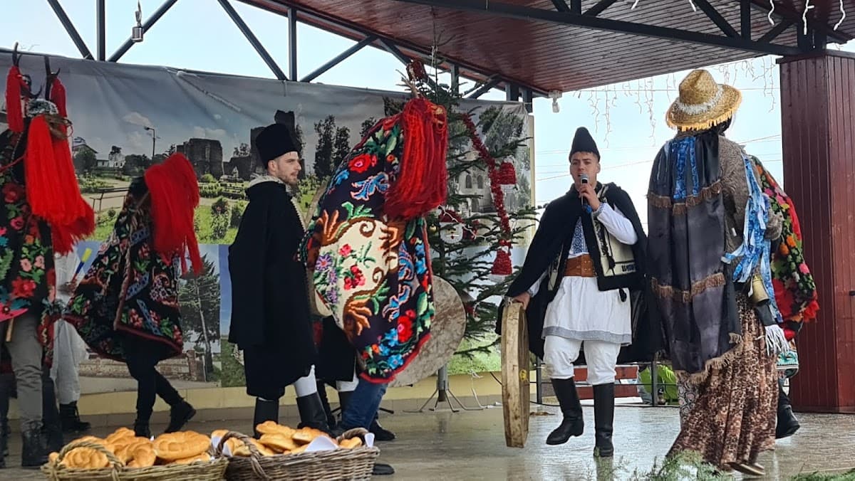 Primăria Baia photo