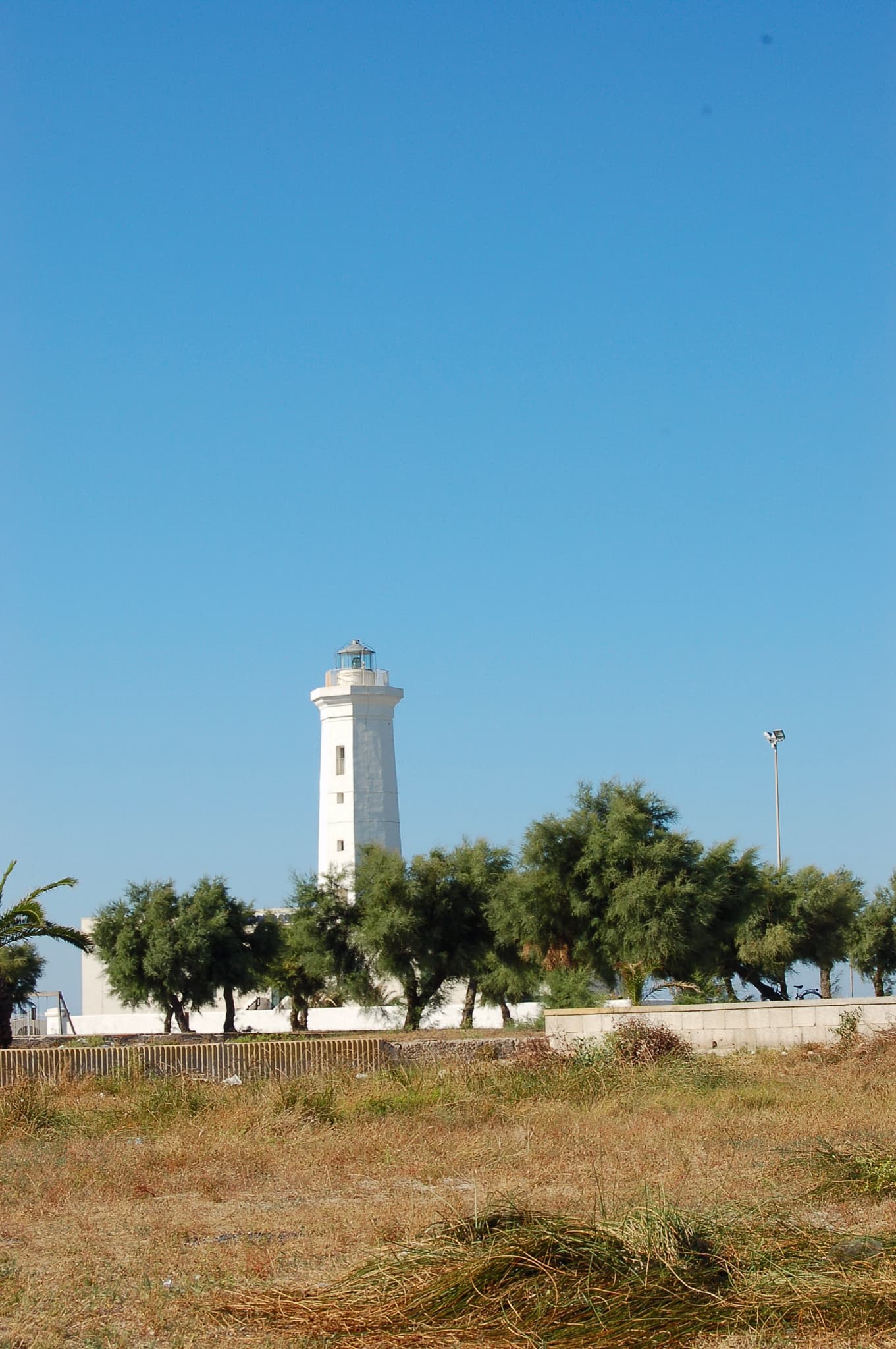 Lido Turrisi photo