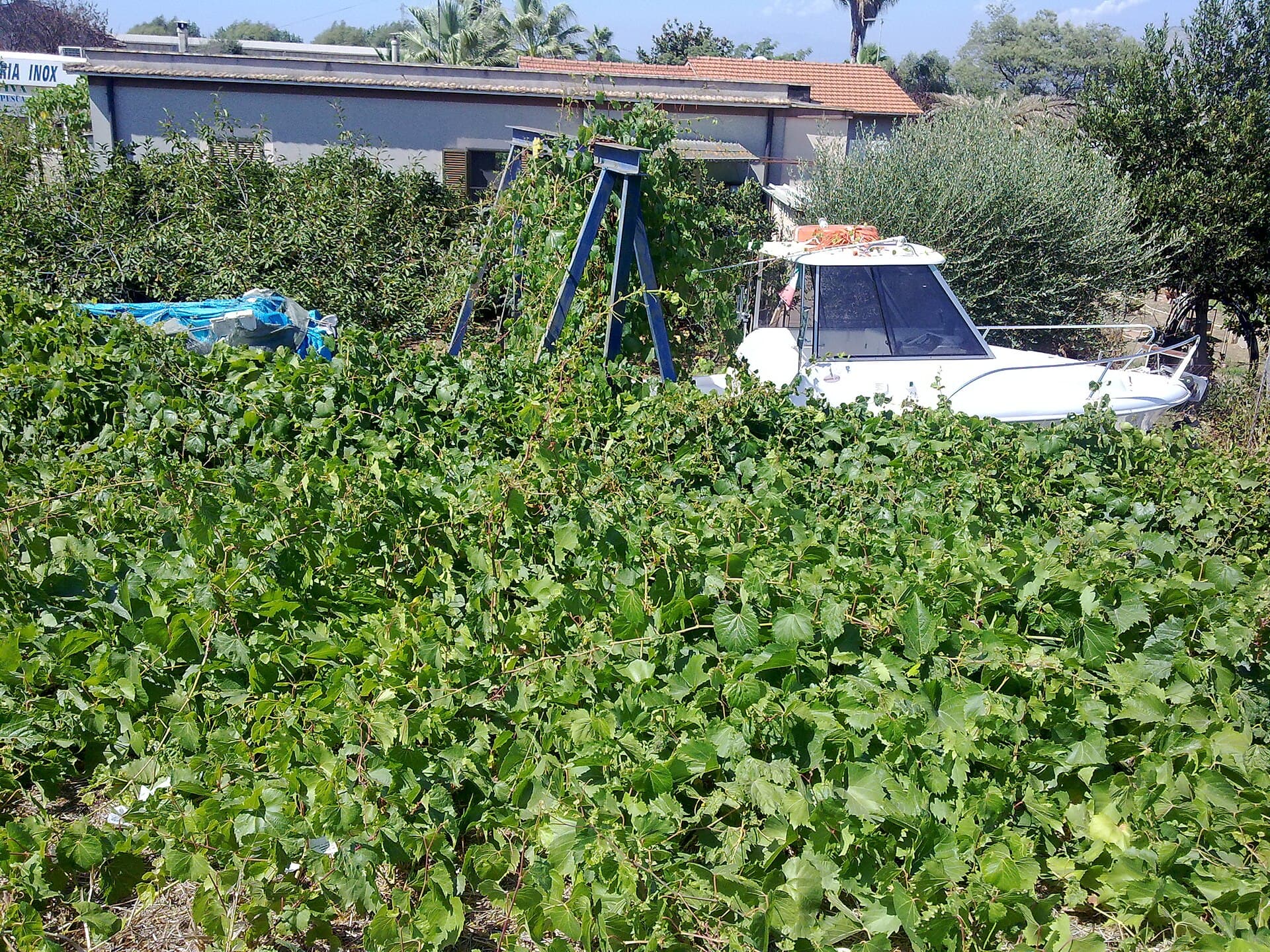 Lido di Ulisse Al Campanile photo