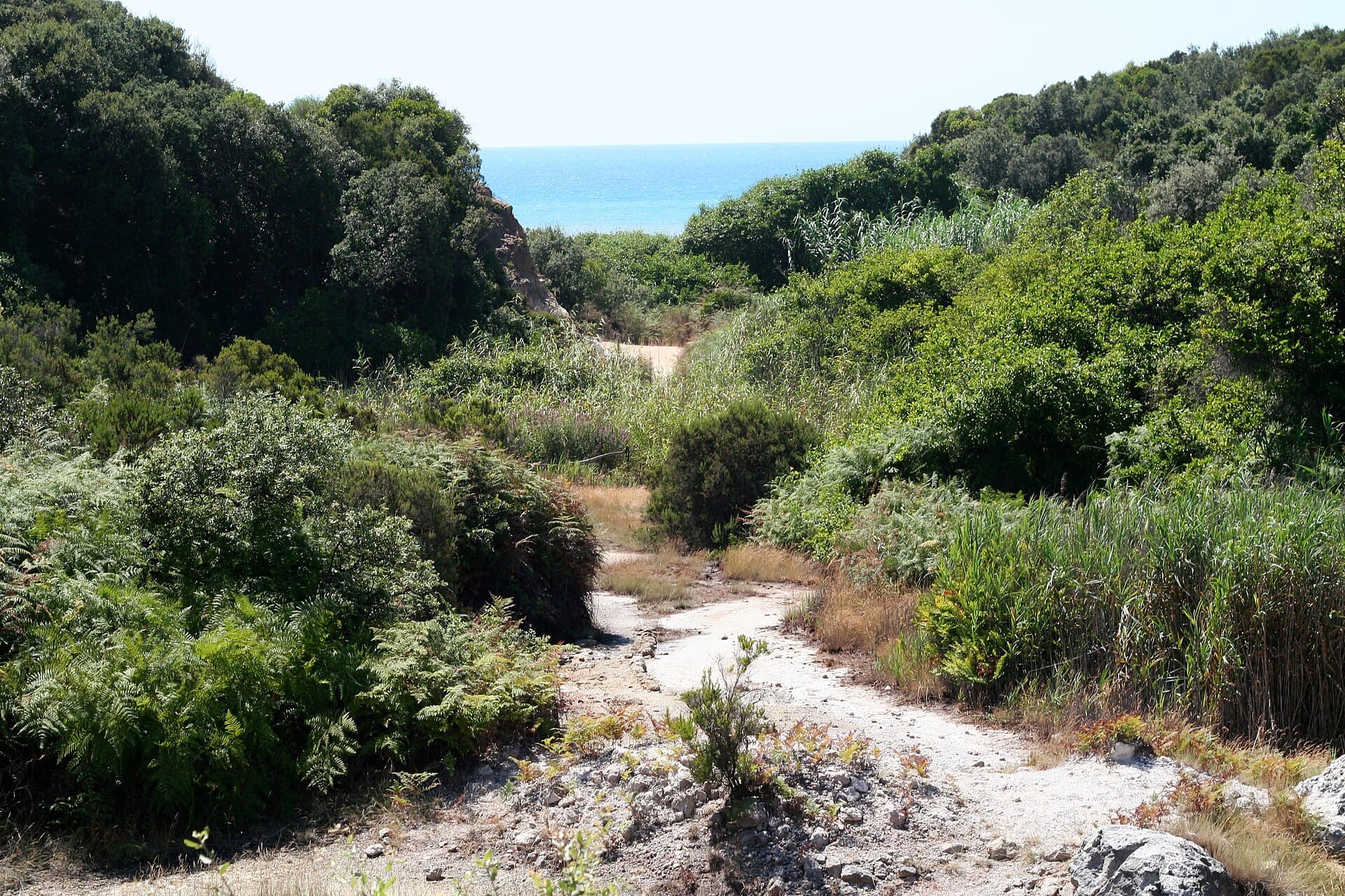Lido di Lavinio photo