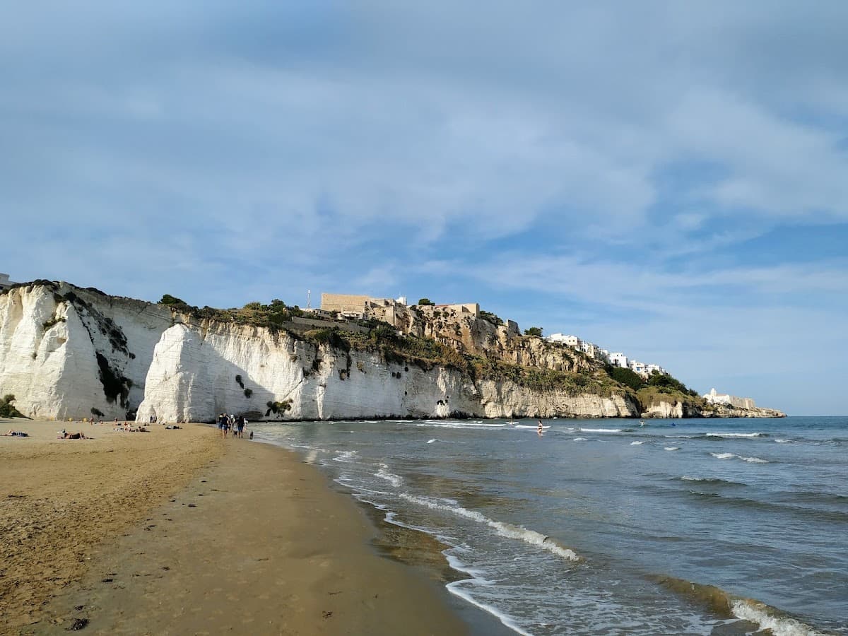 Lido Golden Beach photo