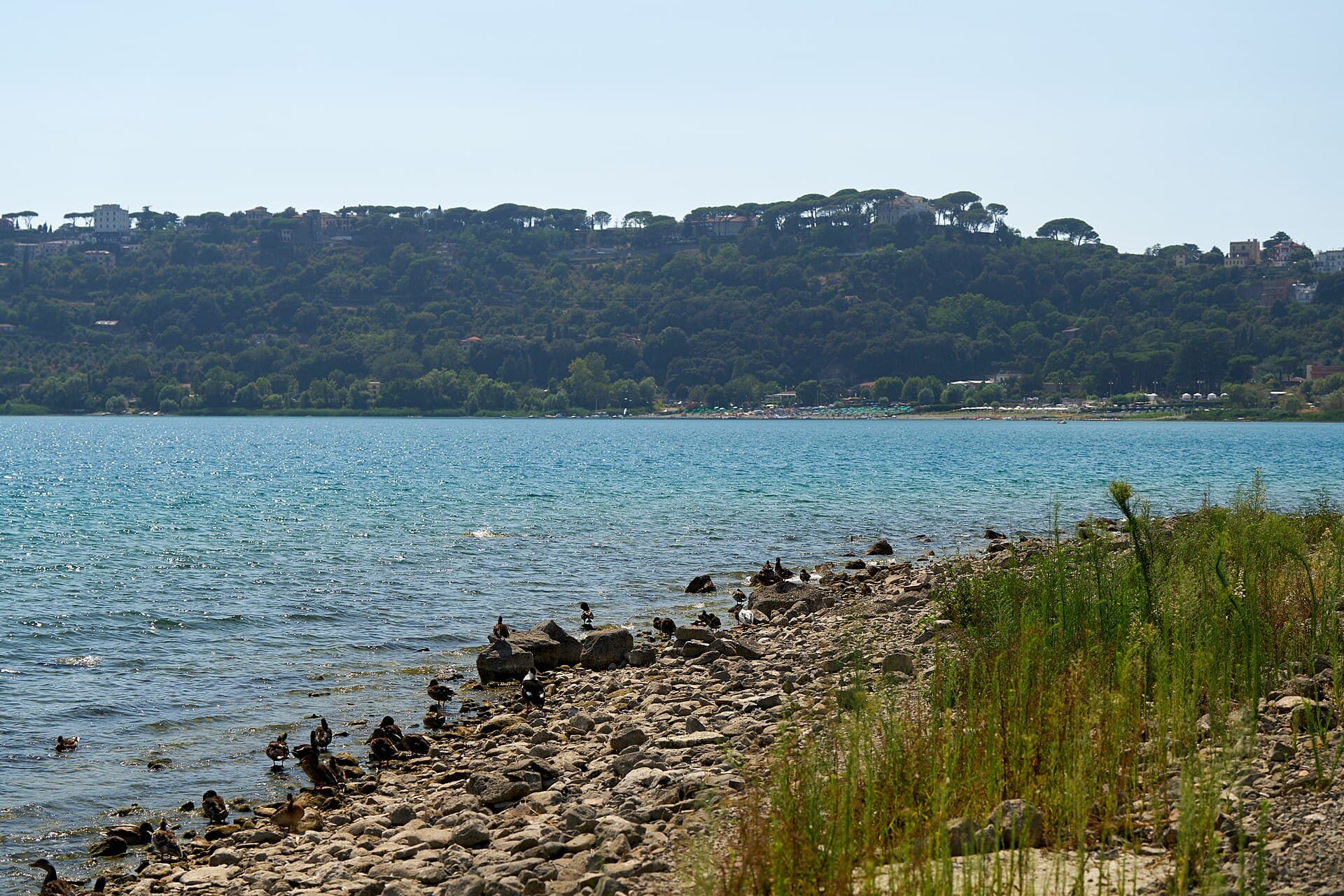 Lago Albano photo